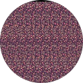 Elena profile picture